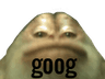 z_goog