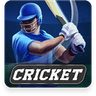 Cricket