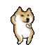 doggedance52