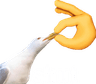 Shut