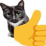 9578thumbsupcat