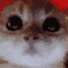 RAGEY
