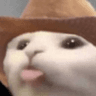 3_cato_cowboy