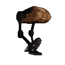 obama_walker