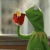 kermit__that_s_none_of_my_busine
