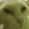 zootedgrinch