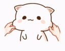kittenfacepulllovefacepull