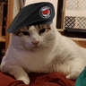 russiancat