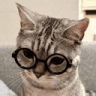 catglasses