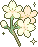 DA_whiteflowers