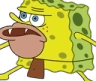 nspongegar