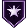 Partner_Badge