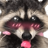 raccoonuwu