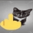 CatFukyou