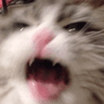 kitty_AHHH