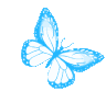 4694bbutterfly