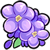 purple_flowers