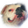 SmugBox