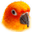 MangoKFace