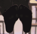 feet38