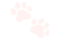Cc_White_Paws