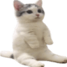 emoji_16