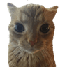 emoji_20