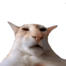 emoji_21