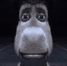 sherk