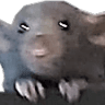 1008630713752502342