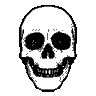 444skull360