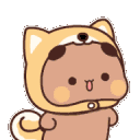 D_abear003