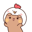 D_abear002