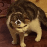 emoji_13
