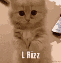 emoji_17