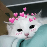 cathearts2