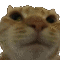 r_catno
