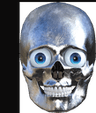 skull