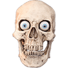 skullyS