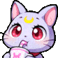 Cat_love_sip