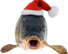 1719christmasfish