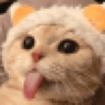 clazcat