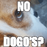 no_doggos