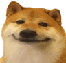 b_doge