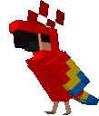 birdvibe