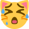 emoji_wet