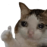 emoji_363
