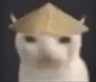 gatochino