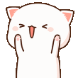 TI_mzcatsaute80
