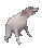 dogdance